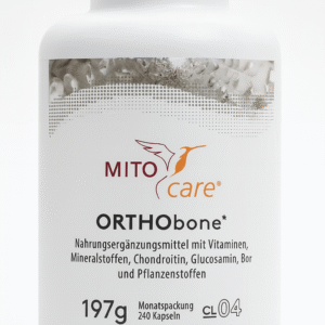 ORTHObone